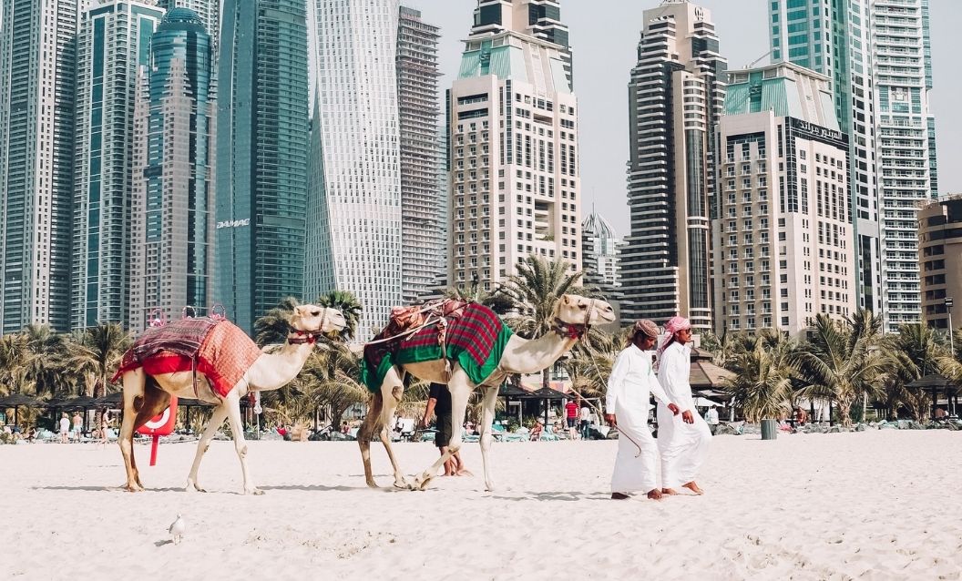 Dubaï transition écologique