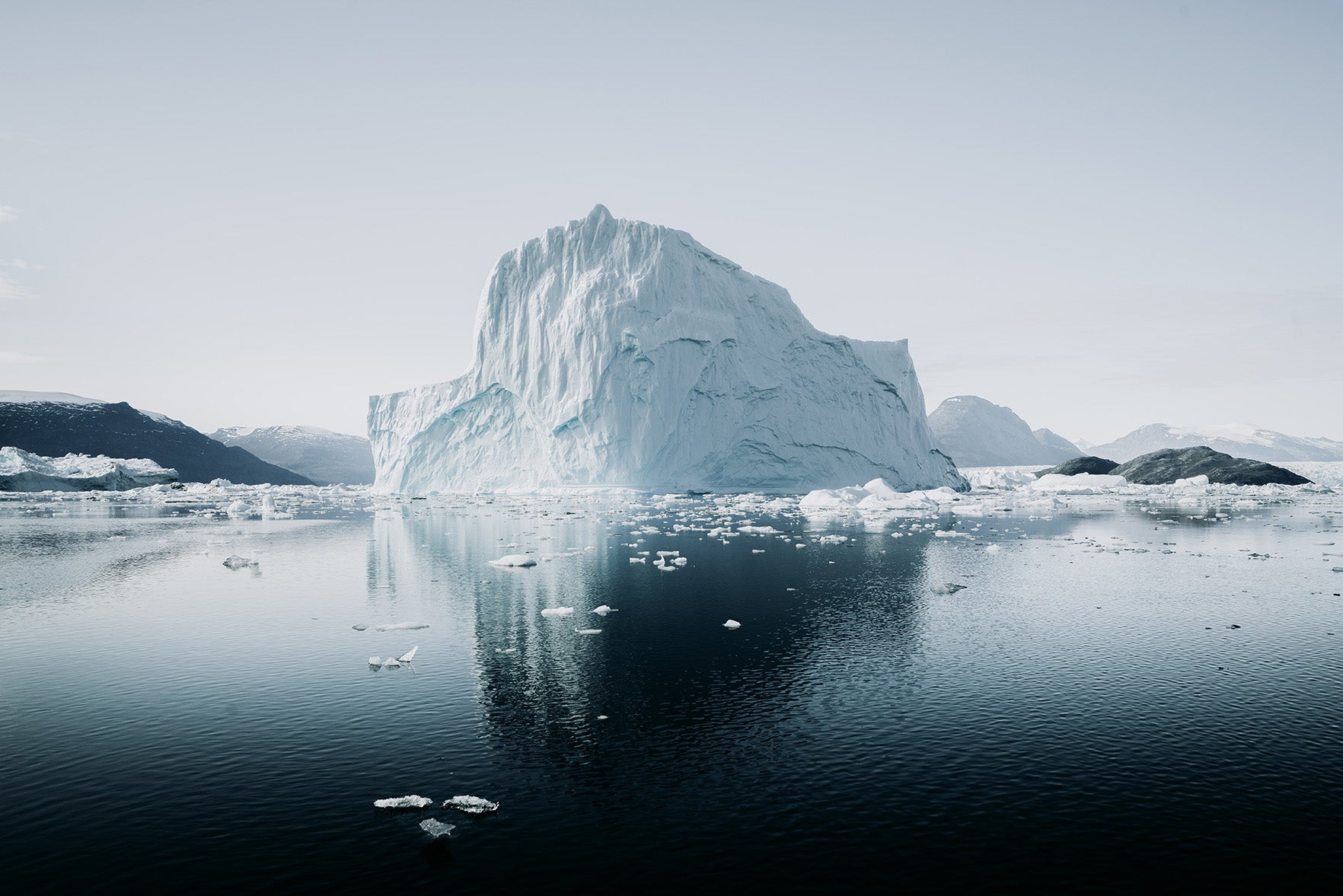 S'engager pour le climat : zoom sur les ONG environnementales 🔍