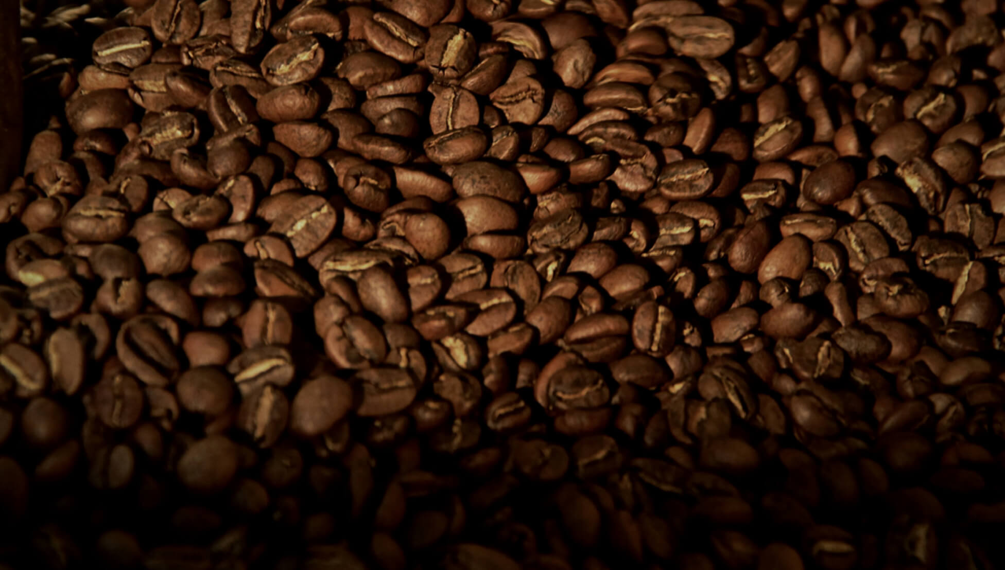 Zeste bouteille isotherme écologique café et thé biologique