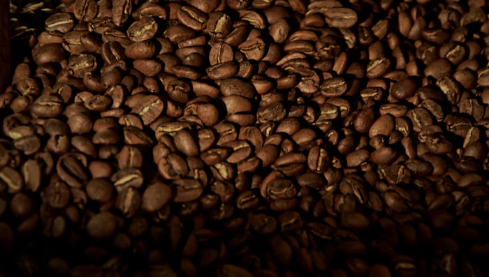 Zeste bouteille isotherme écologique café et thé biologique