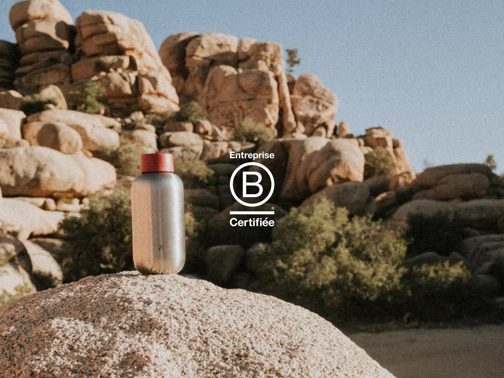 Zeste Certifiée B Corp !